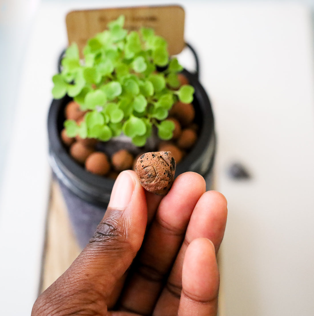 Why You Should Use Clay Pebbles In Your Garden