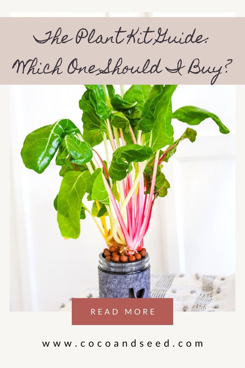 The Plant Kit Guide: Which One Should I Buy?