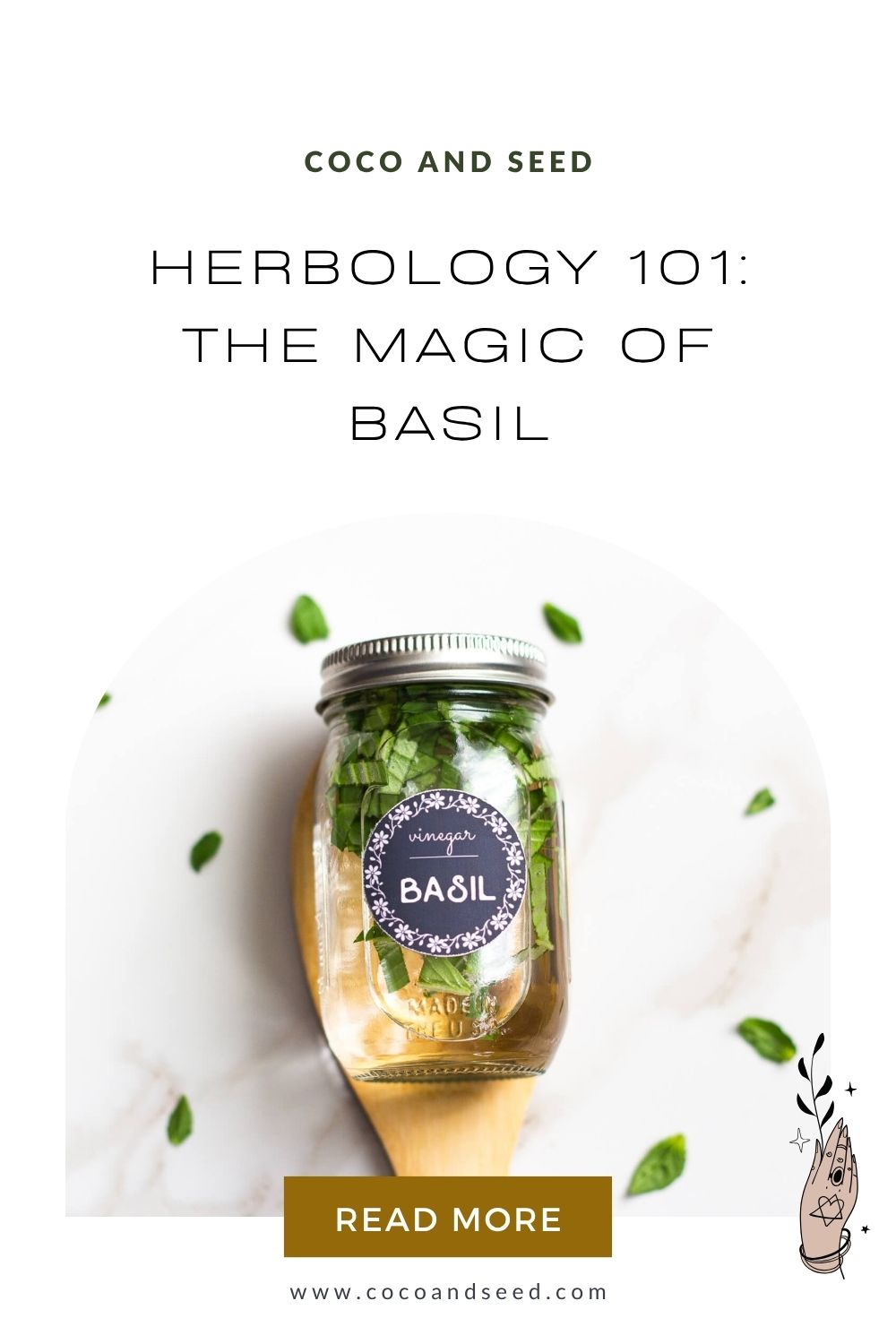 Herbology 101: The Magic of Basil