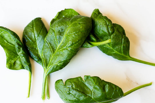 Growing Spinach Indoors
