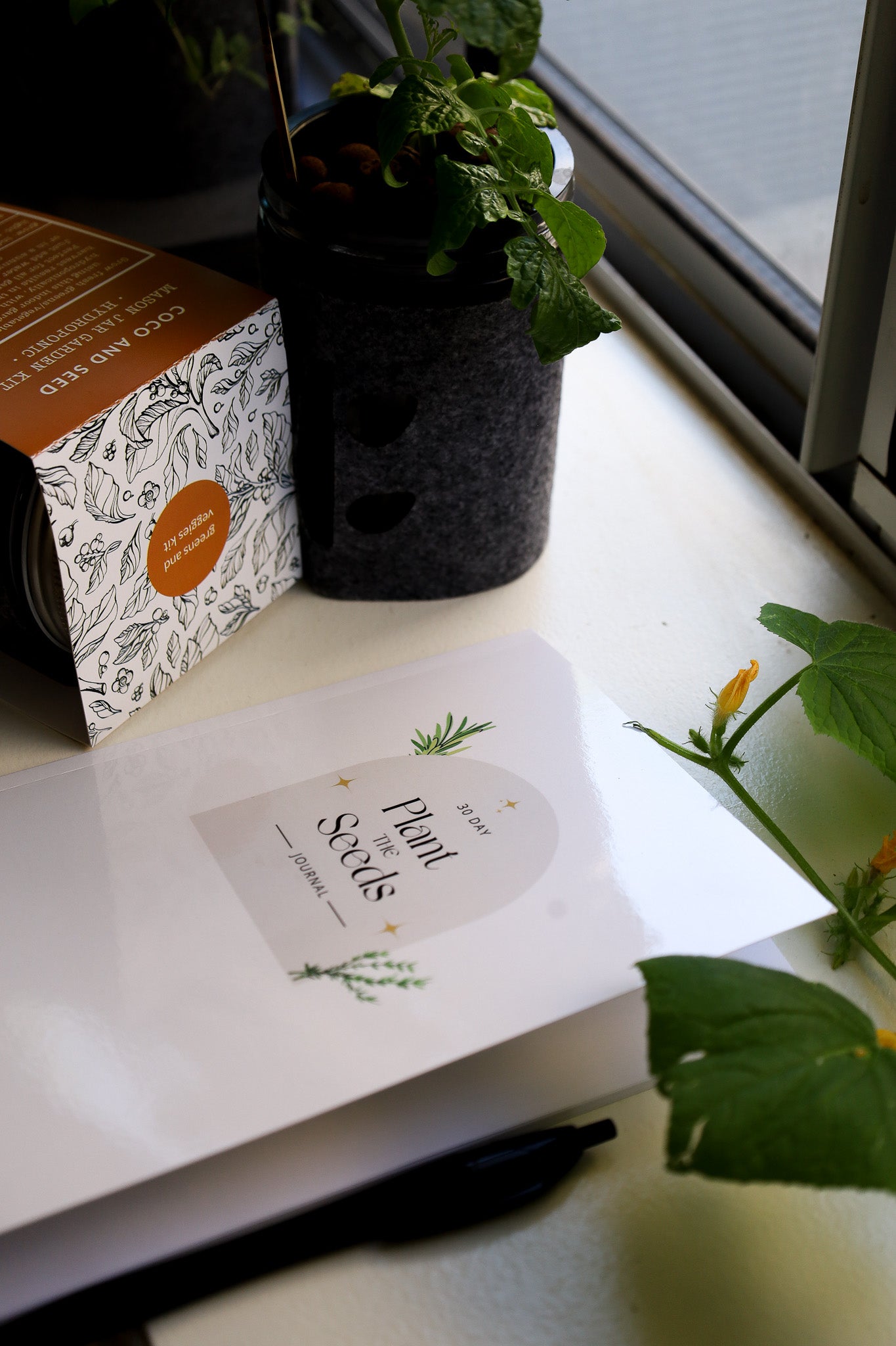 30 Day Plant The Seeds Journal (Paperback)