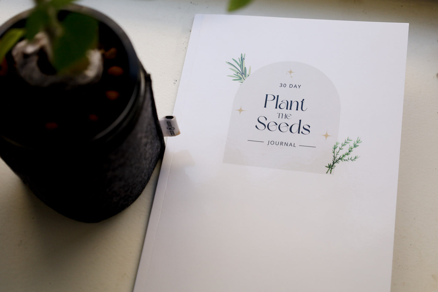 30 Day Plant The Seeds Journal (Paperback)
