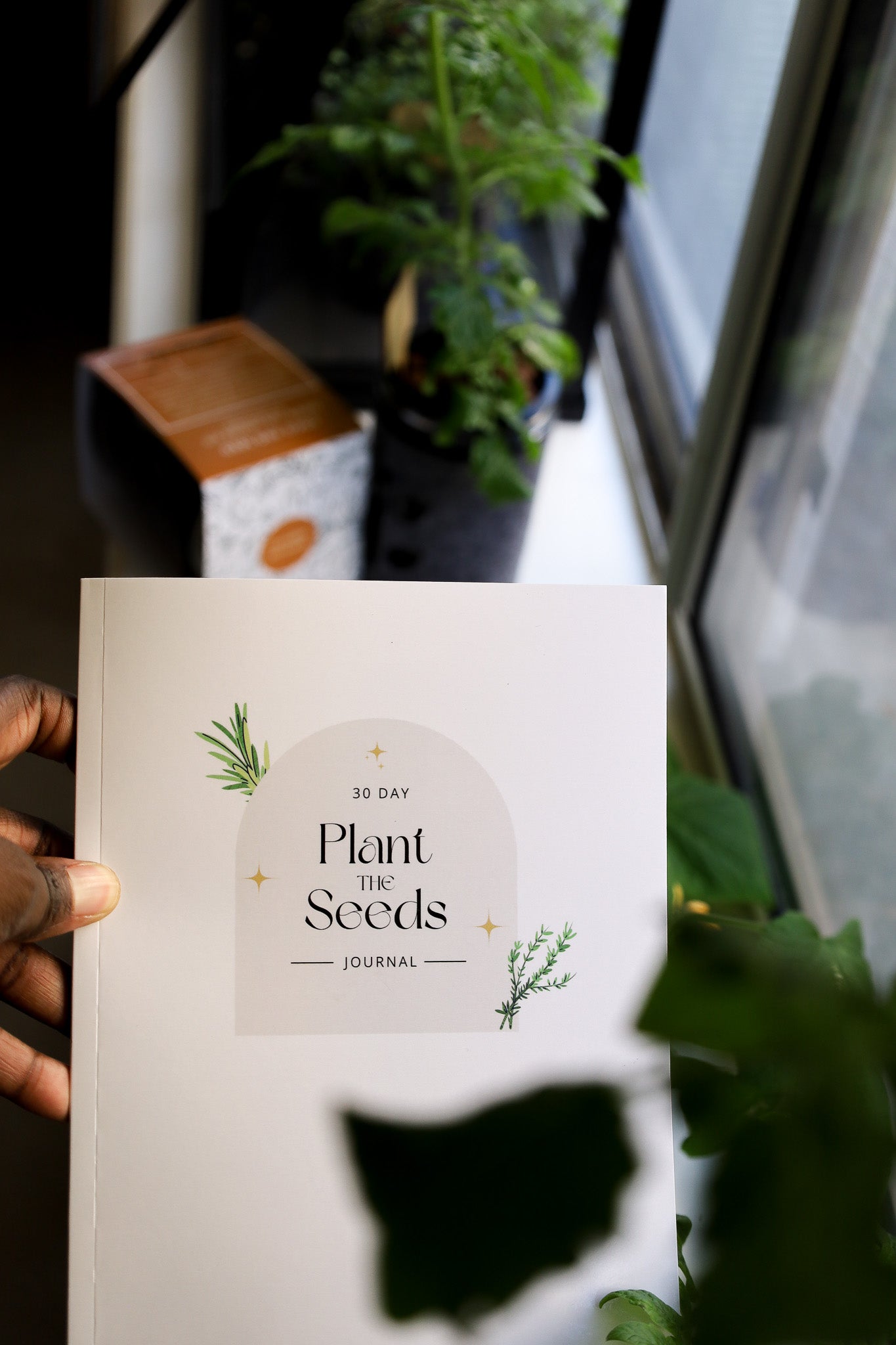 30 Day Plant The Seeds Journal (Paperback)