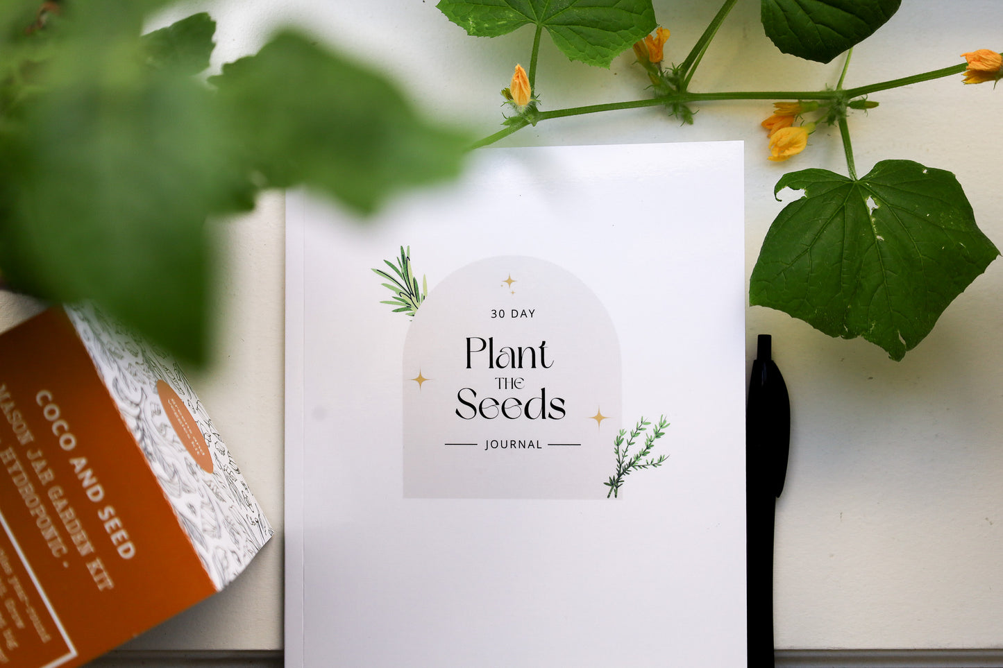 30 Day Plant The Seeds Journal (Paperback)