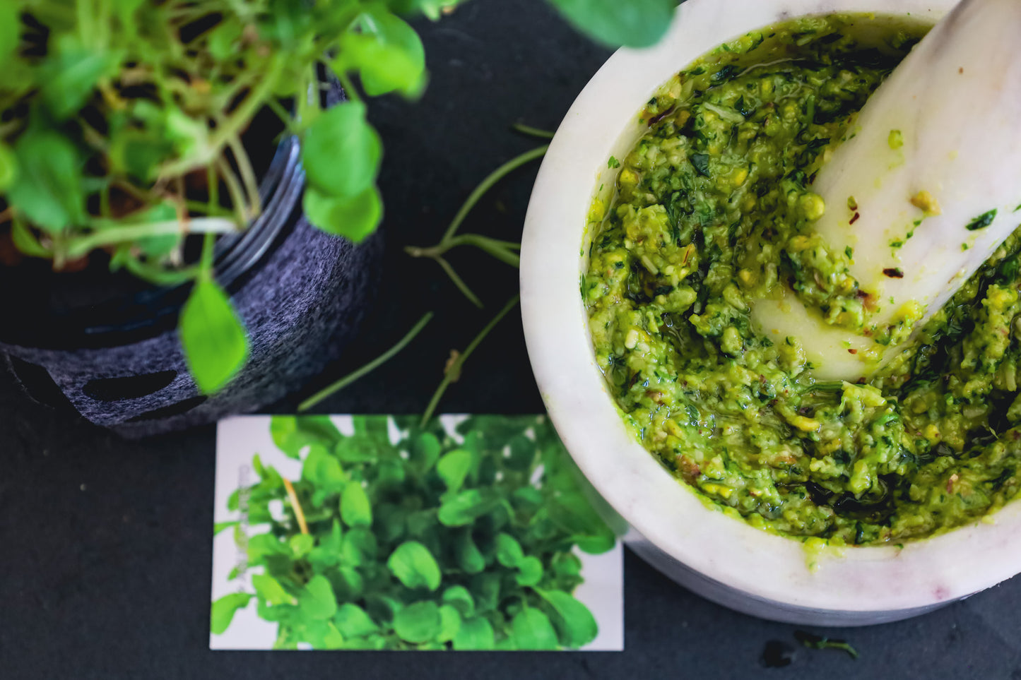 Arugula Hydroponic Mason Jar Garden Kit