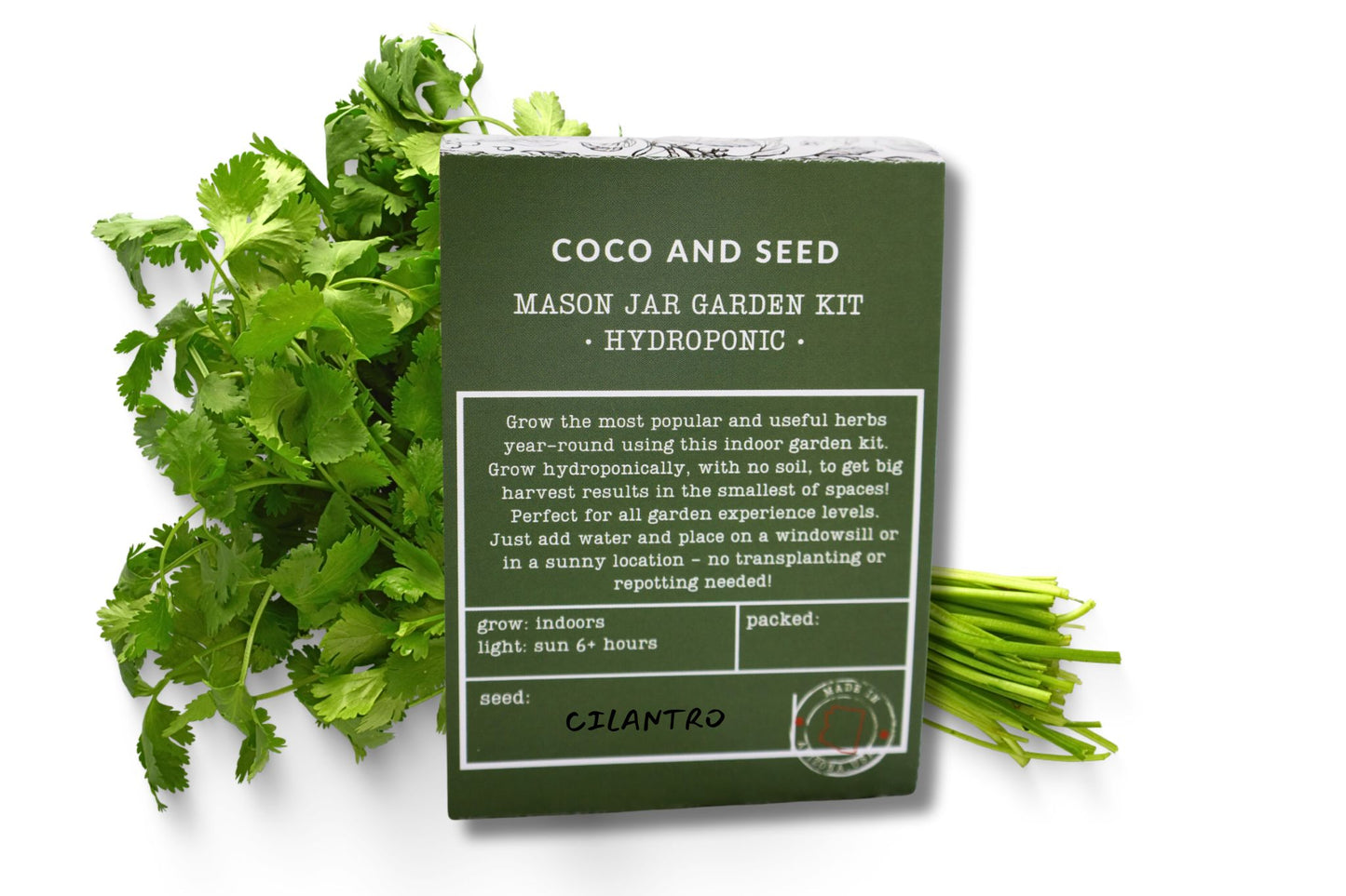 Cilantro Hydroponic Mason Jar Garden Kit