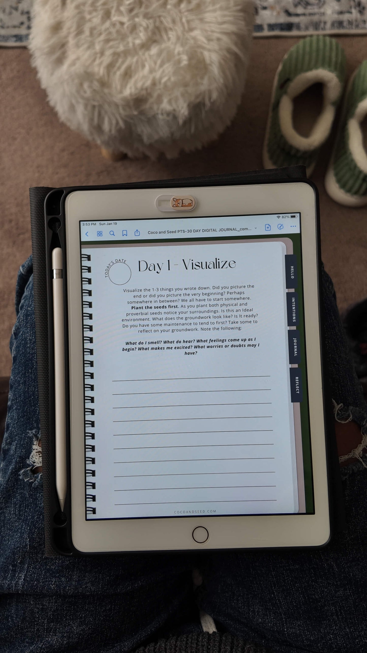 30 Day Plant The Seeds Digital Journal