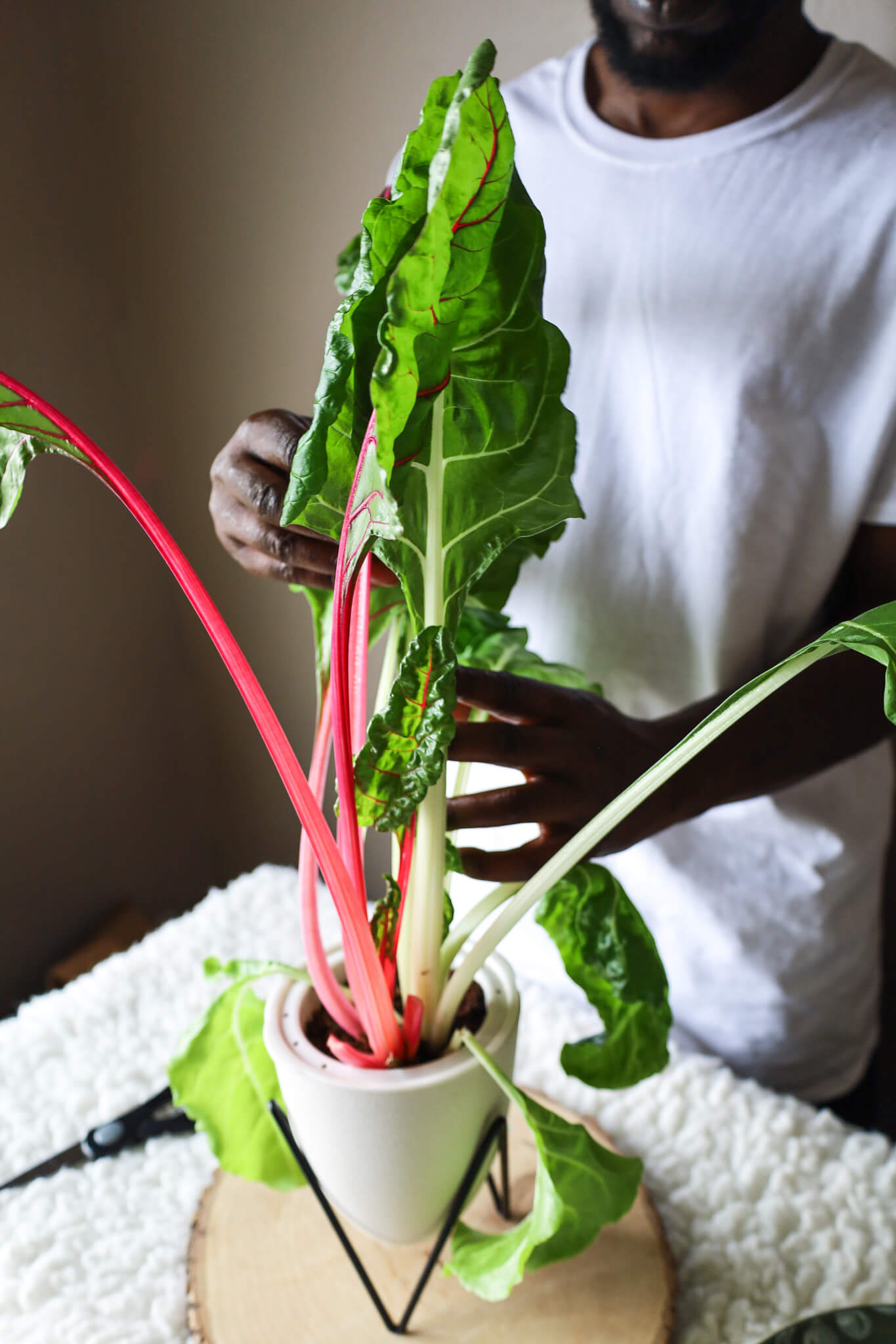 EcoPlanter