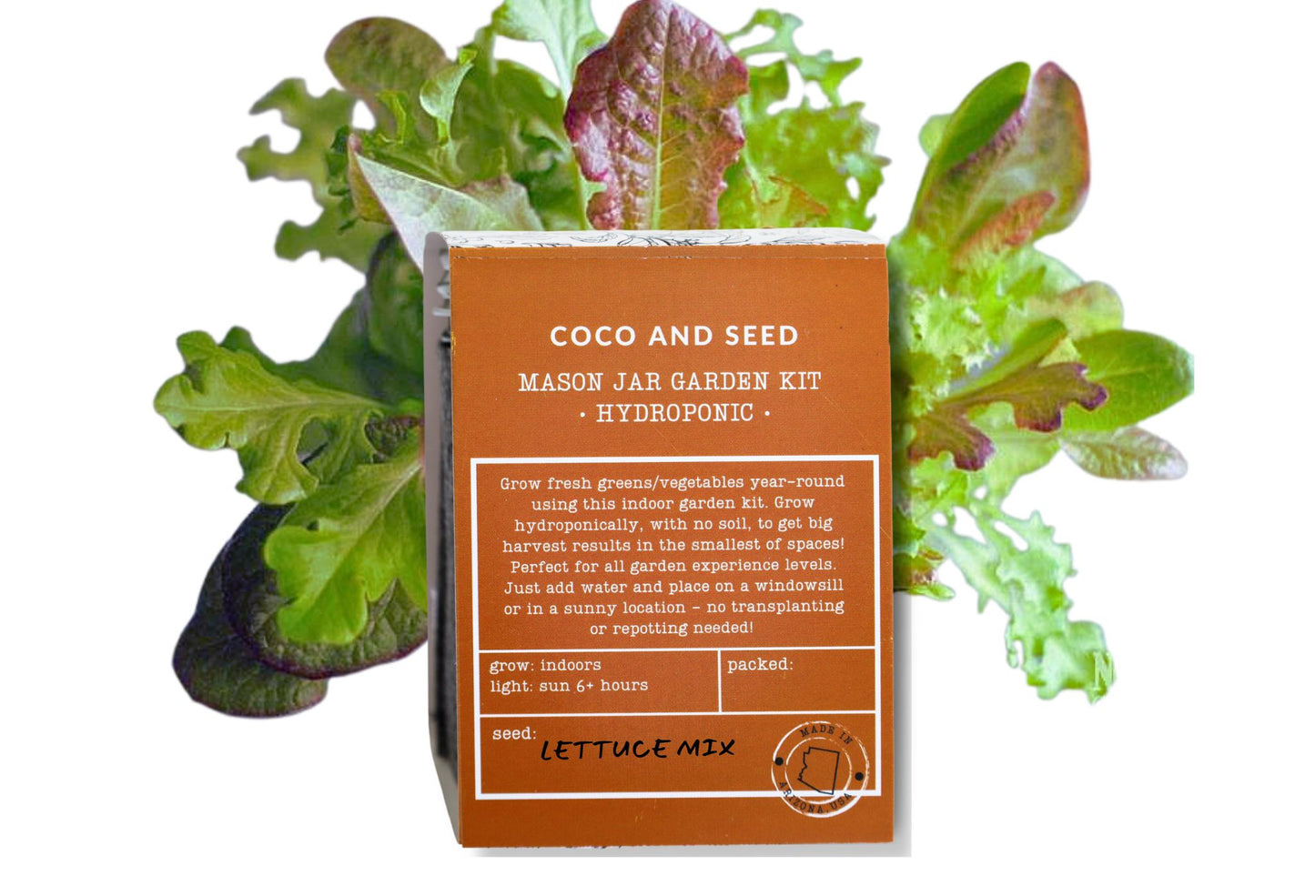 Lettuce Hydroponic Mason Jar Garden Kit