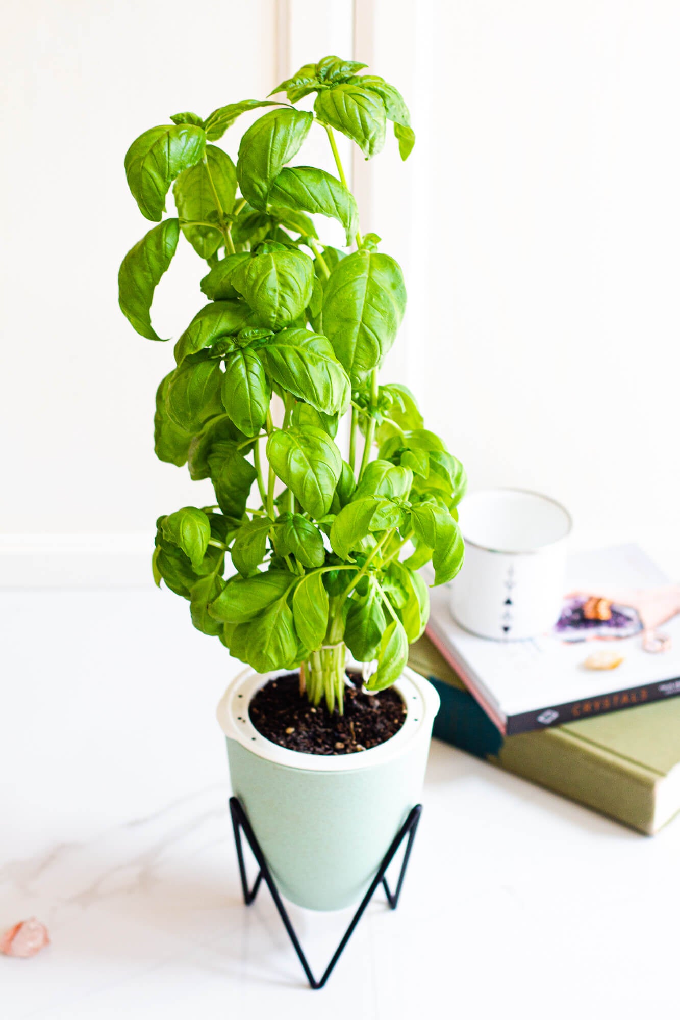 EcoPlanter Pot