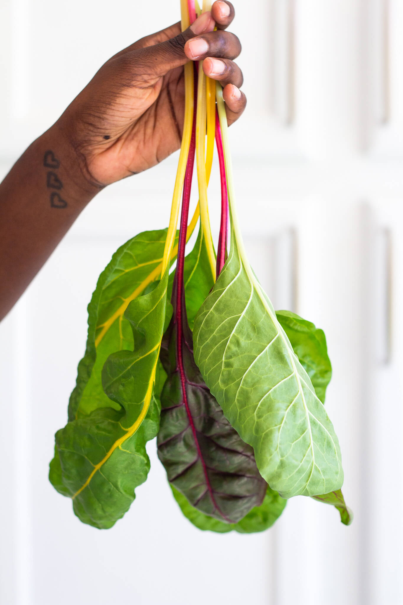 Swiss Chard Hydroponic Mason Jar Garden Kit