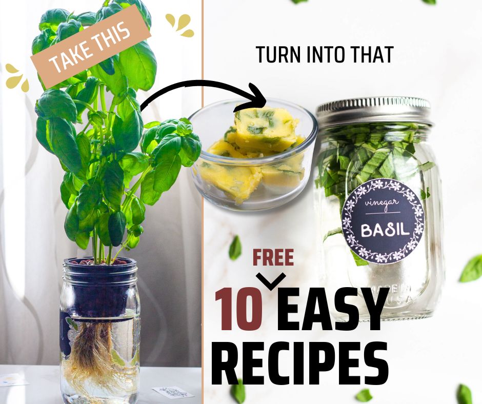 10 Free Herb Preservation Methods