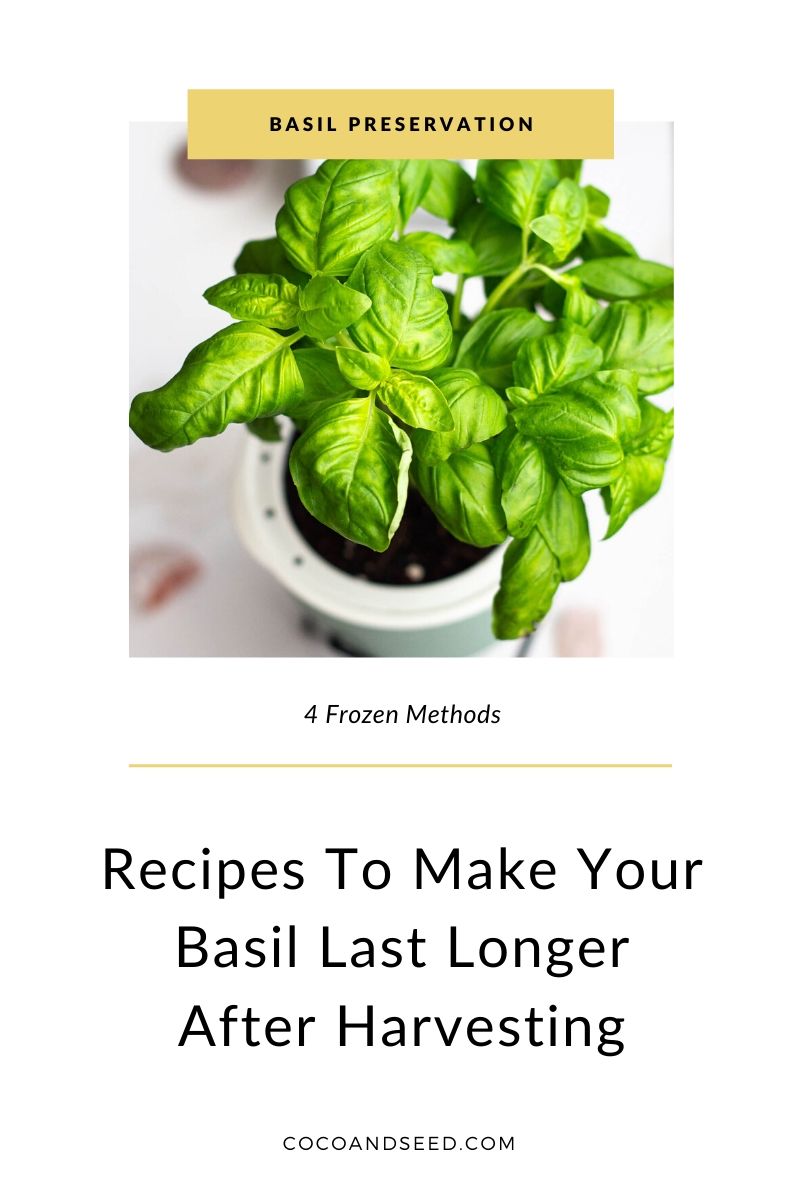 Basil - Frozen Preservation Methods Free Digital Download