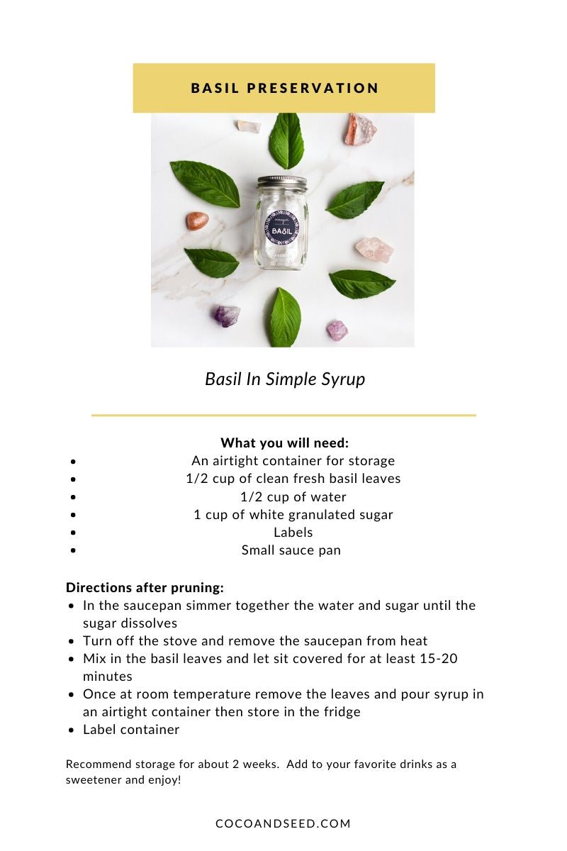 Basil - Standard Preservation Methods Free Digital Download