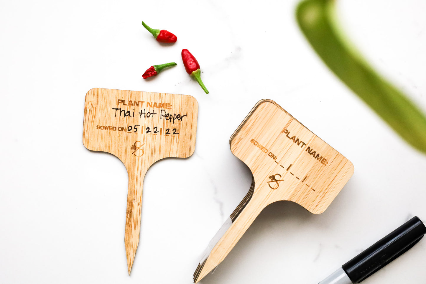 Bamboo Plant Labels