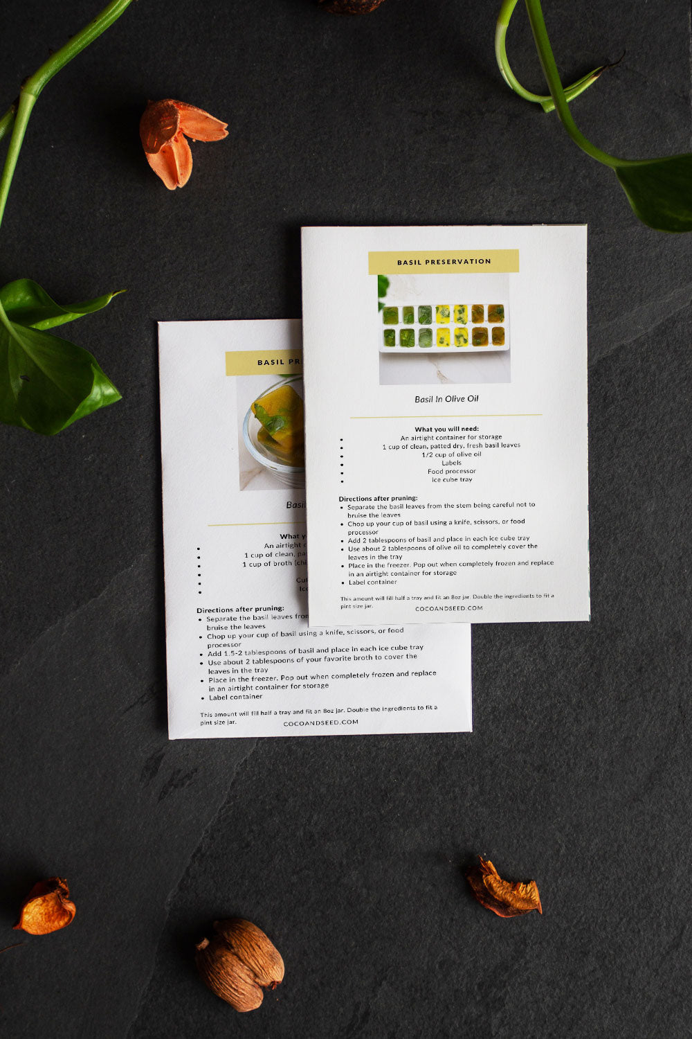 Basil - Frozen Preservation Methods Free Digital Download