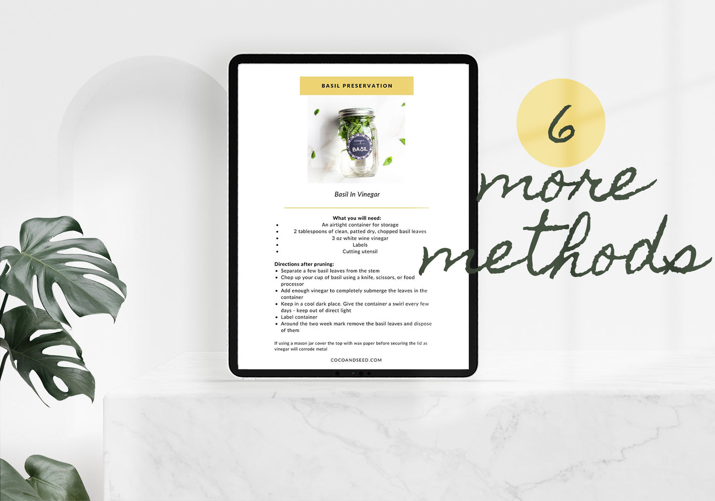 Basil - Standard Preservation Methods Free Digital Download