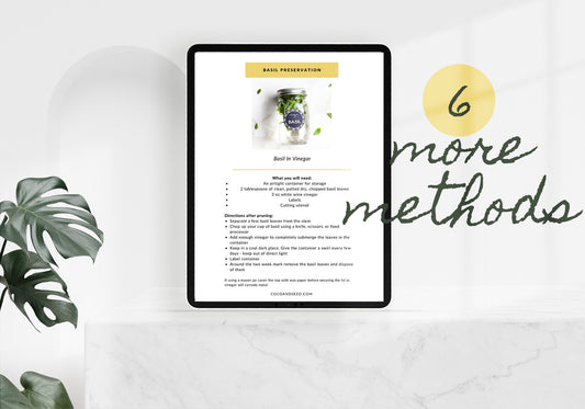 Basil - Standard Preservation Methods Free Digital Download