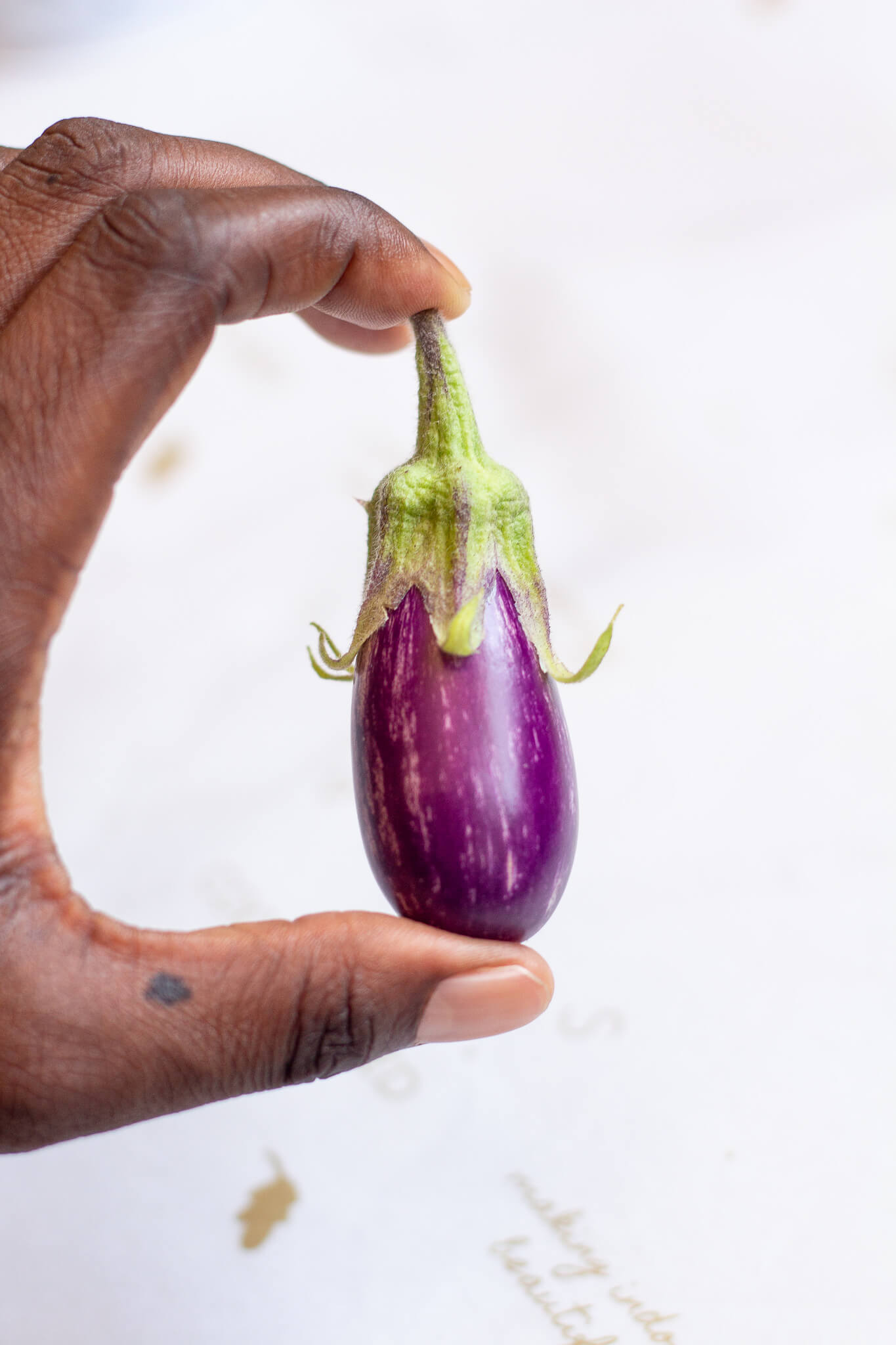 Fairy Tale Eggplant Hydroponic Mason Jar Garden Kit