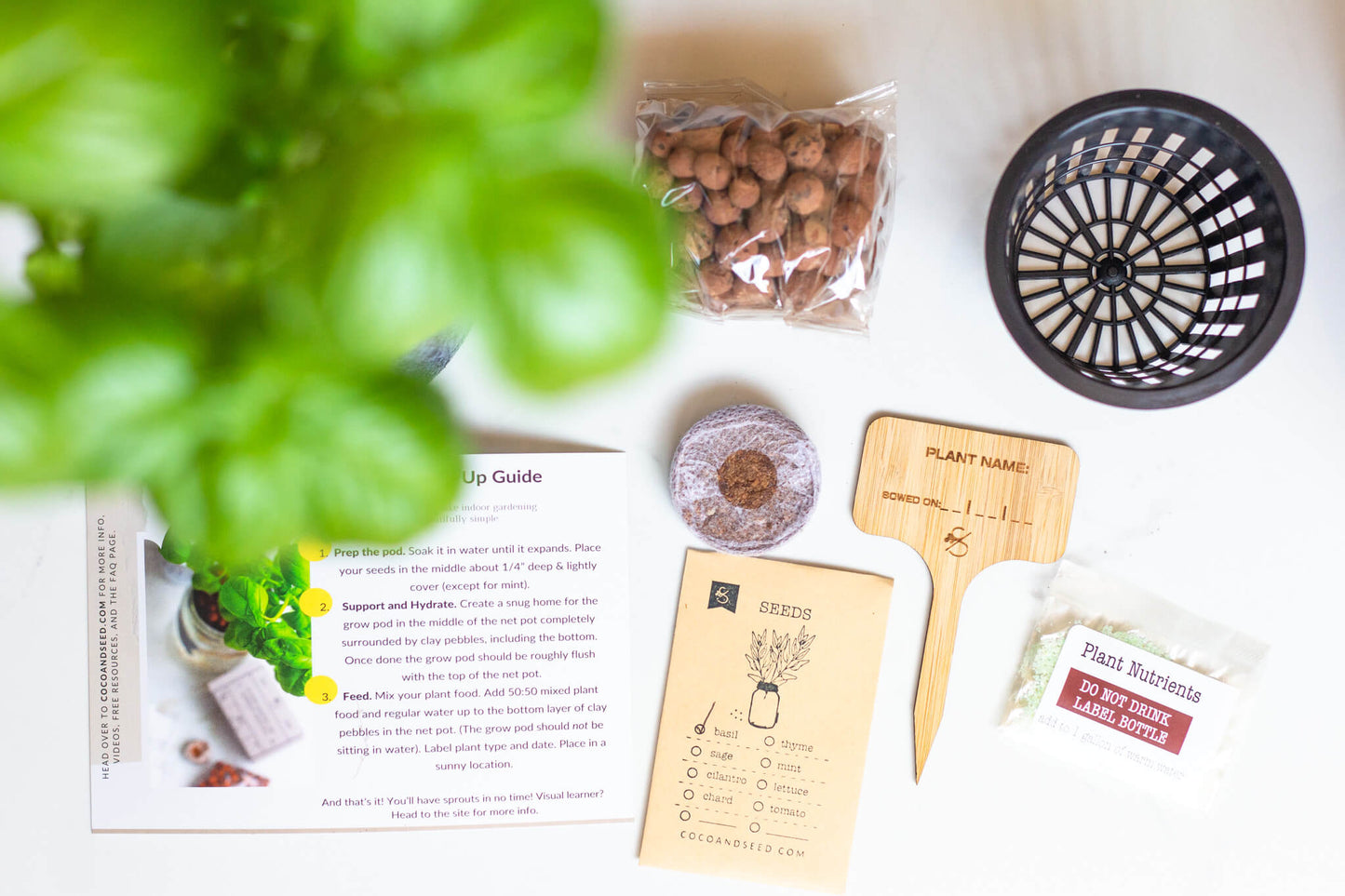 Tomato Hydroponic Mason Jar Garden Kit