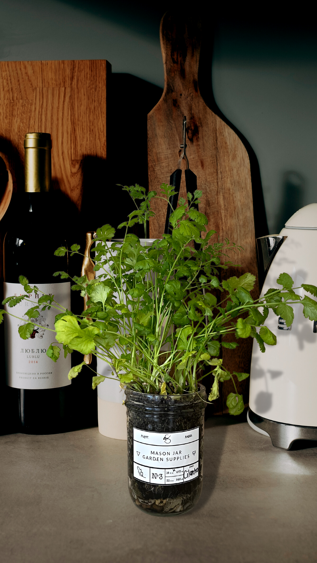 Soil Mason Jar Indoor Garden Kit