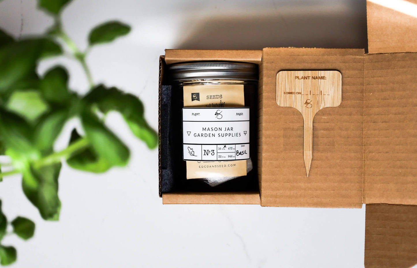 Soil Mason Jar Indoor Garden Kit