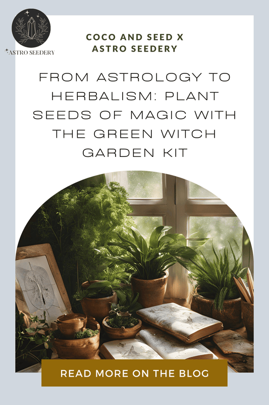 From Astrology to Herbalism: Plant Seeds of Magic with the Green Witch Garden Kit