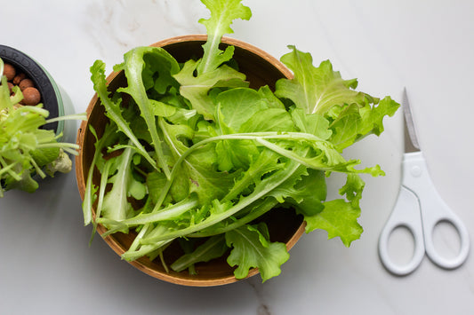 3 Reasons Why You Should Grow Lettuce Indoors