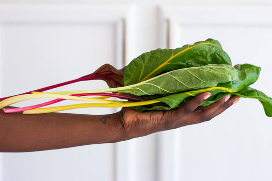 Grow Beautiful Swiss Chard Indoors Year Round