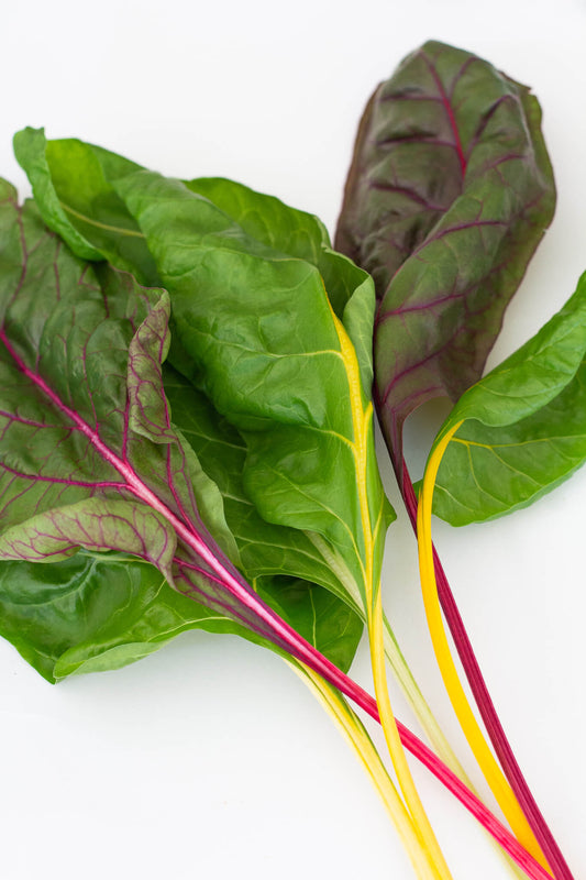How To Harvest Swiss Chard [VIDEO]