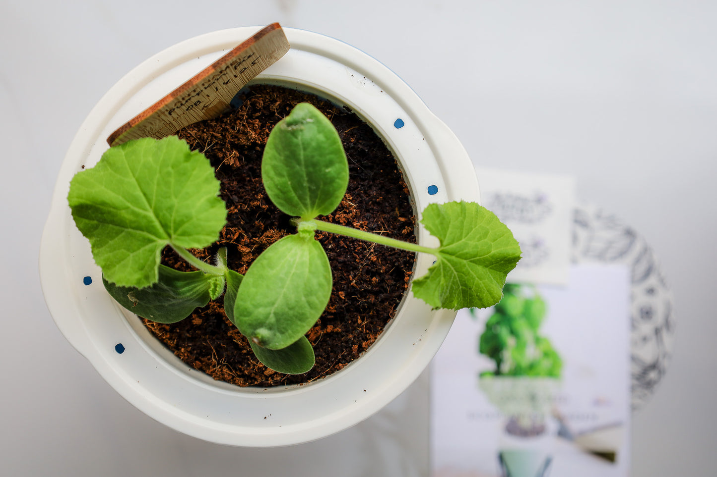 EcoPlanter