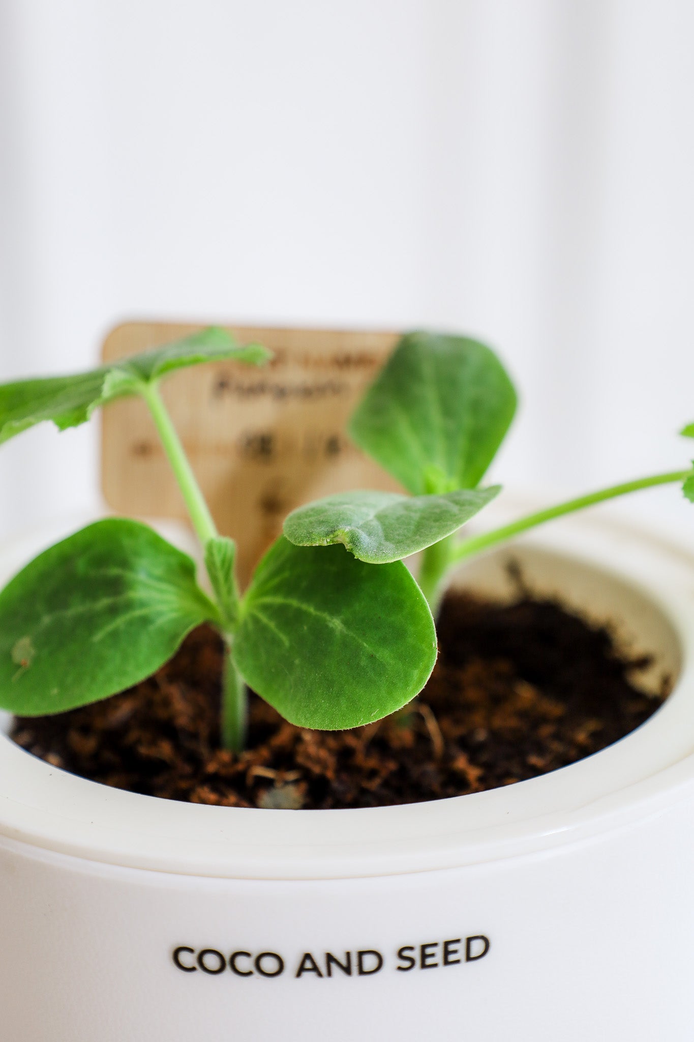 EcoPlanter