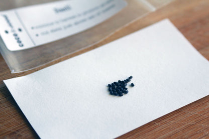 Grow in Solidarity Seed Pack