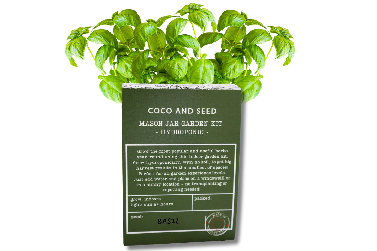 Basil Hydroponic Mason Jar Garden Kit