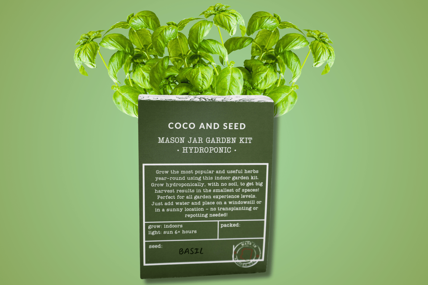 Basil Hydroponic Mason Jar Garden Kit