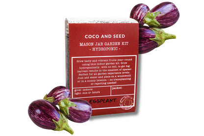 Fairy Tale Eggplant Hydroponic Mason Jar Garden Kit