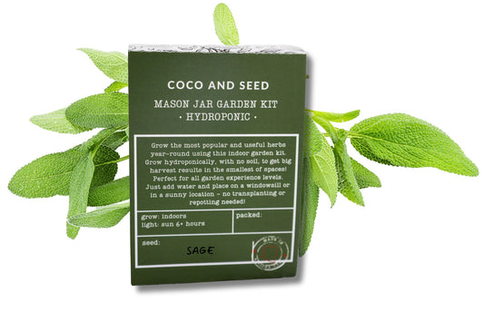 Sage Hydroponic Mason Jar Garden Kit
