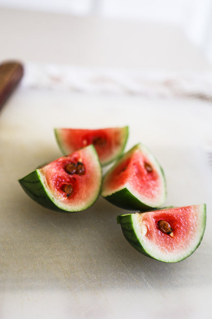Watermelon Hydroponic Mason Jar Garden Kit