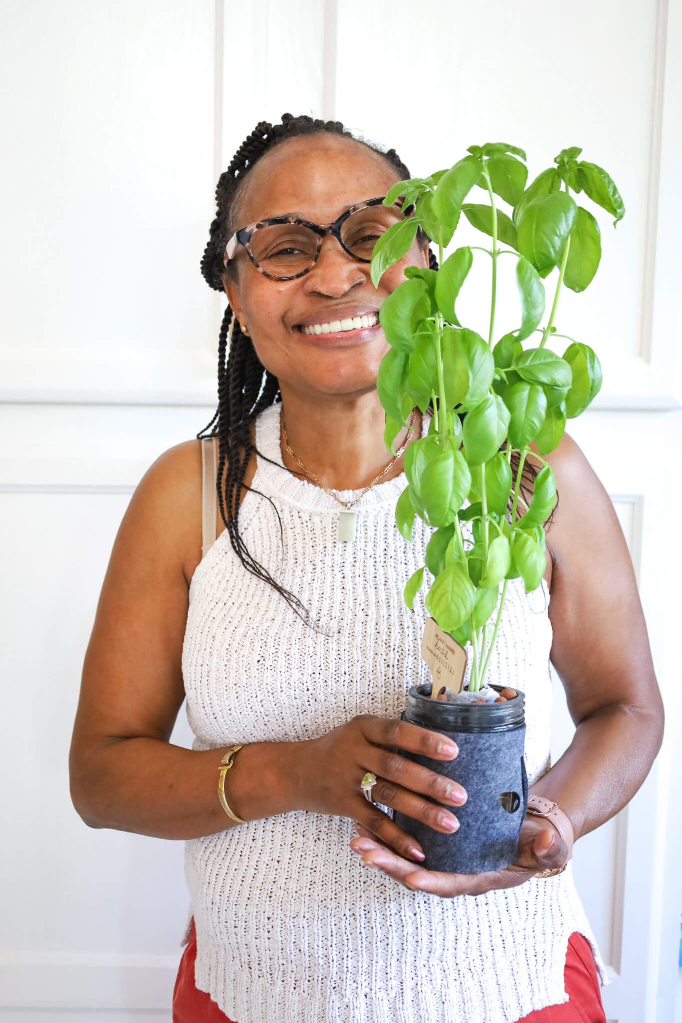 Basil Hydroponic Mason Jar Garden Kit