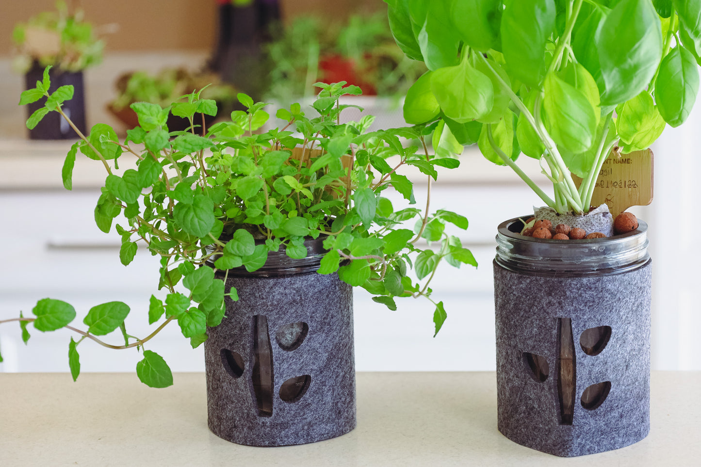 Hydroponic Mason Jar Garden Set Trio