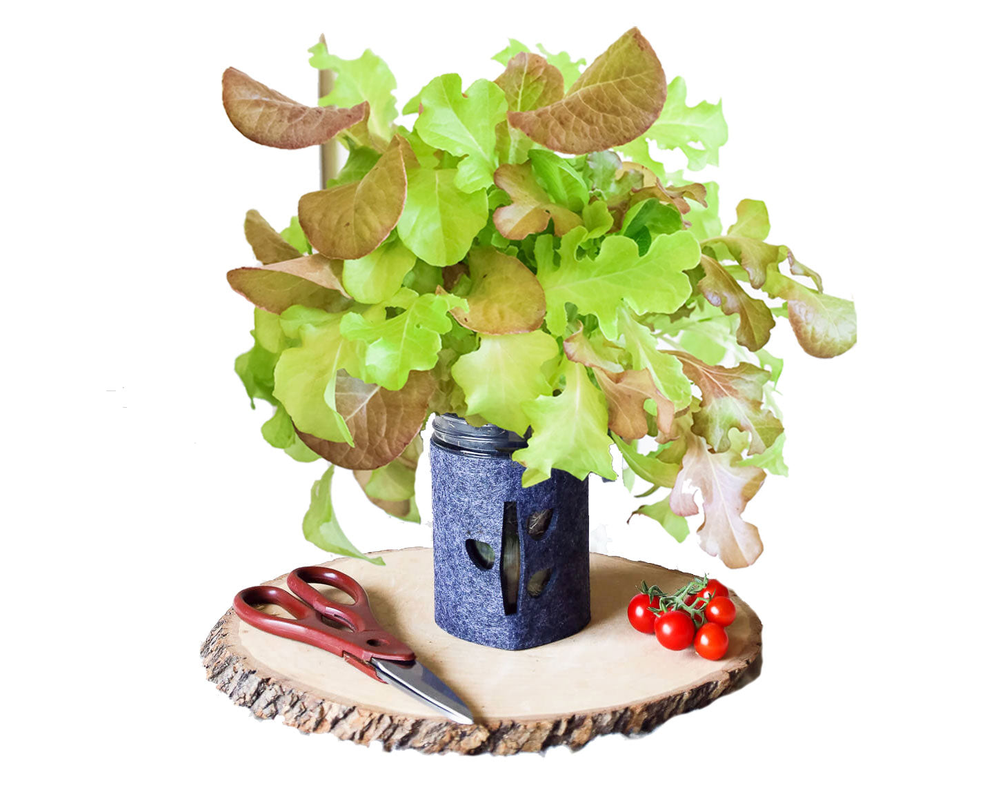 Hydroponic Mason Jar Garden Kit