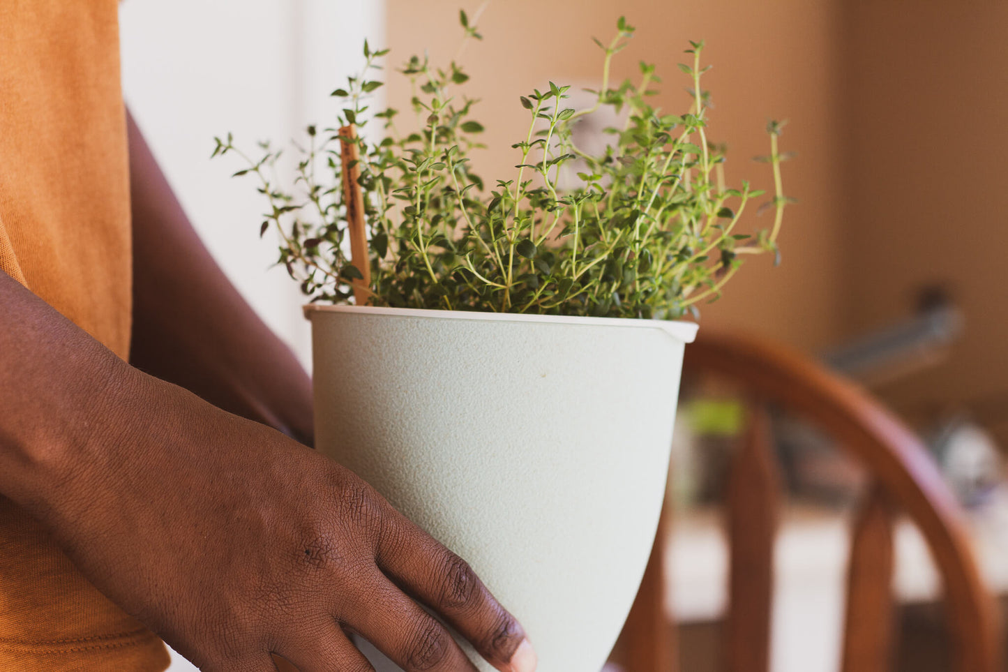 EcoPlanter Hydroponic Gardening Kit Seeds - Step 2